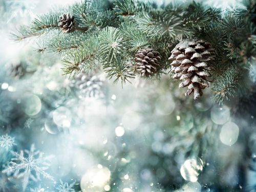 Christmas in Fort William - Alexandra Hotel