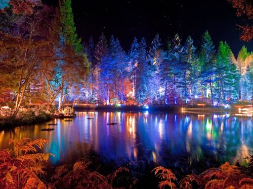 Pitlochry's Enchanted Forest Day Trip