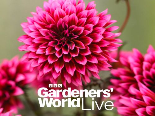 BBC Gardeners World Live