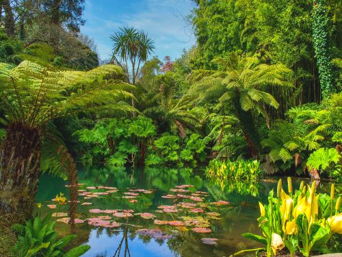 Cornwall's Coast & Glorious Gardens