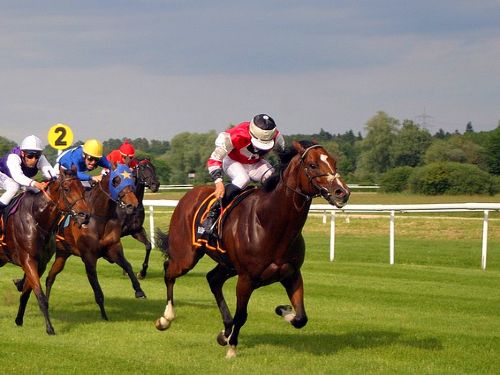 York Races Weekend