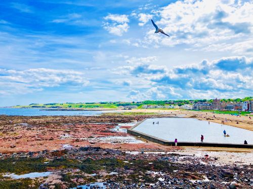 North Berwick & Dunbar   (Includes High Tea)