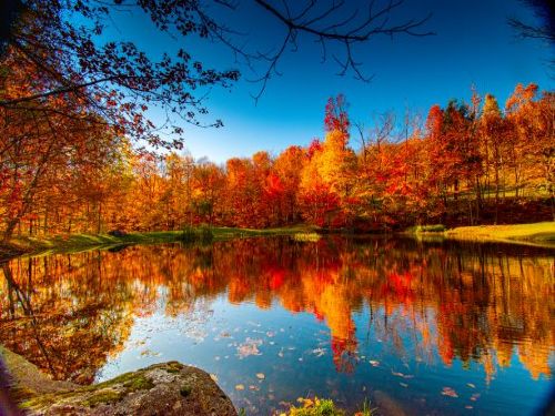 Autumn Tints of the Lakes