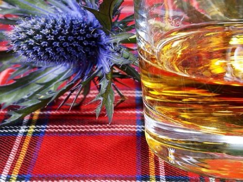 Highlands Tartan Taster - Fort William